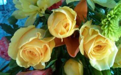 Welcome to The Five Facets