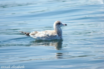 Two Bs in Happy Make a World of Difference