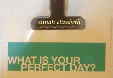 The (Not-So) Perfect Day