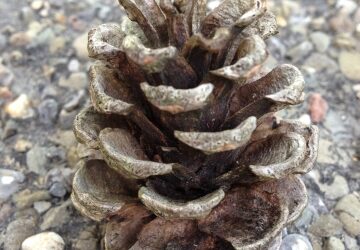 There’s Magic in Movement