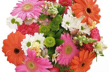 Breaking Out of Our Comfort Zones