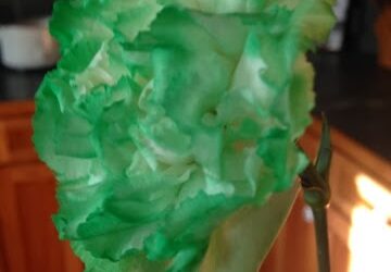 Feeding My Near-Fifty Happy