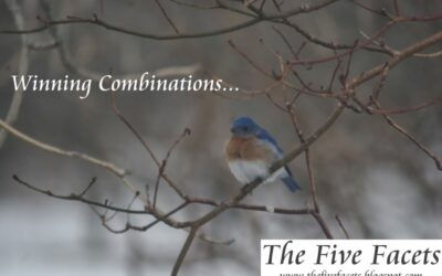 Winning Combinations