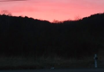 In Someone Else’s Shoes