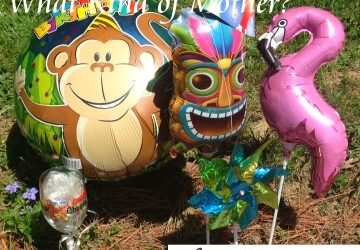 What Kind of Mother?