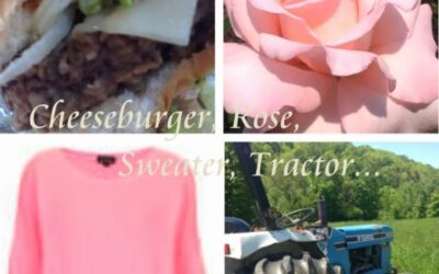 Cheeseburger, Rose, Sweater, Tractor