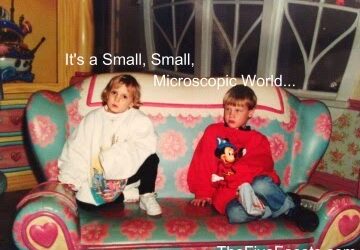 It’s a Small, Small, Microscopic World