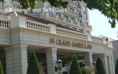 A Few Bittersweet and Salty Days