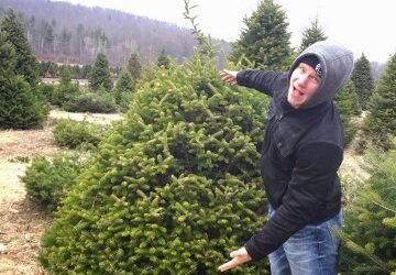 Visions of Sugarplums