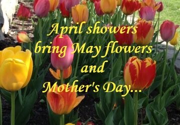 What Kind of Mother Has No Child 2016