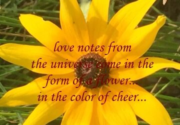 Love Notes from The Universe