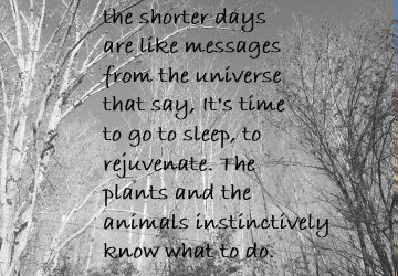 Messages from the Universe