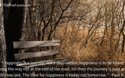 How I “Got” Happiness in an Utterly Deplorable and Lacking Week