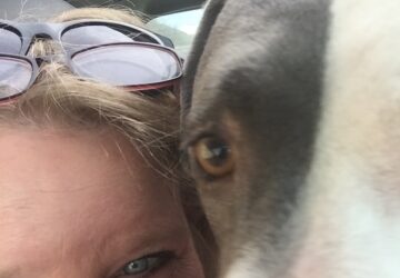 You’ve Got a Friend in Me