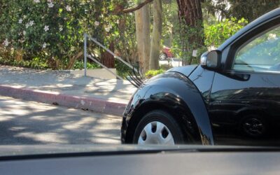 How a Bug Brightened My Day