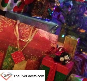 Wrapped Gifts